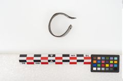 Foto von Eisenantennendolch (NHMW-PRAE-025069)